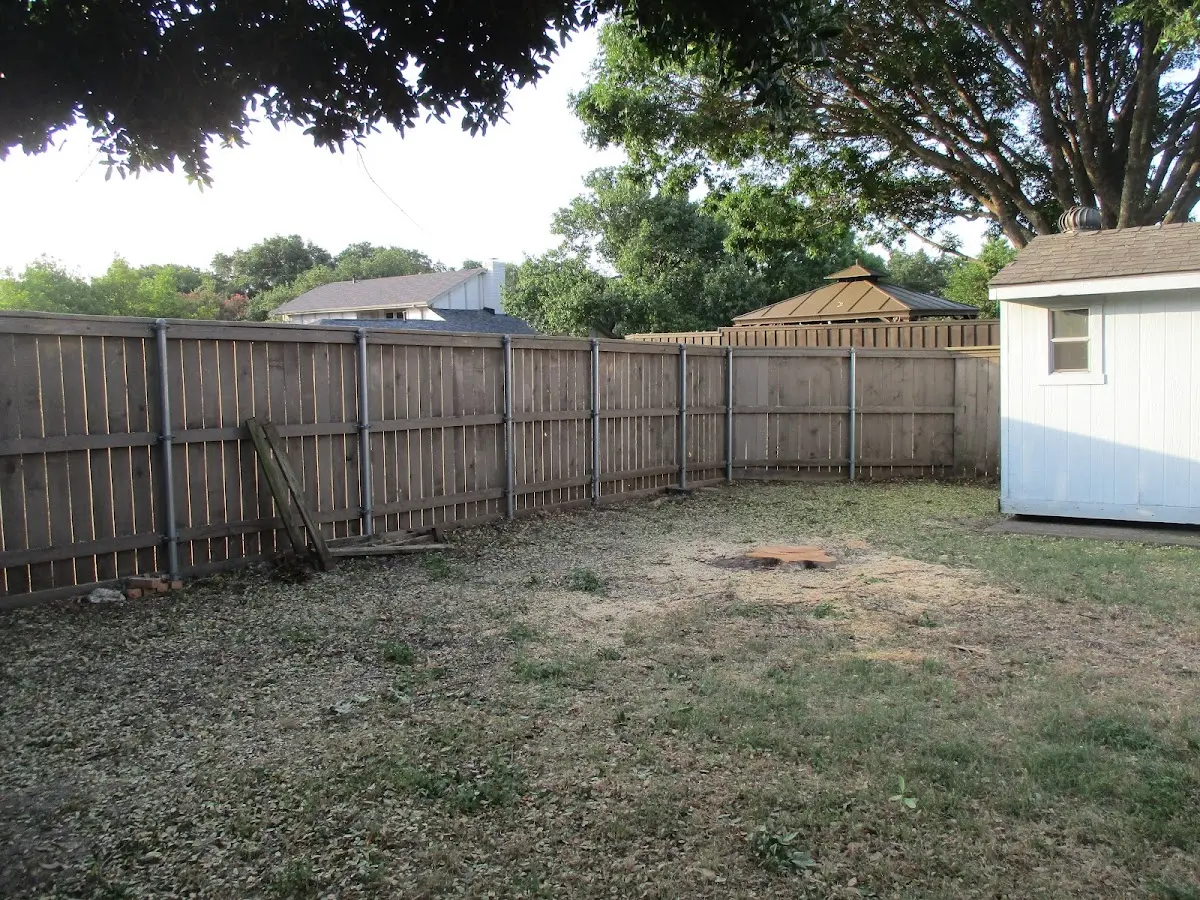 Cleared yard after professional tree removal in Georgetown